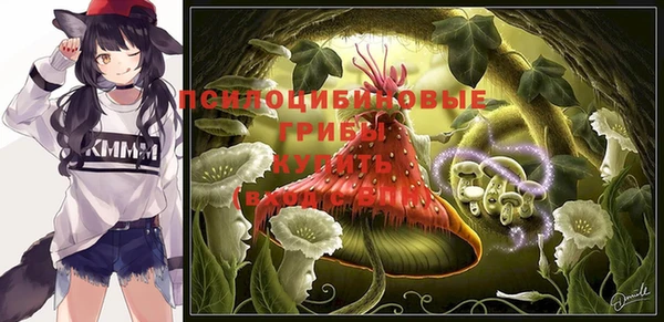 наркотики Алексин